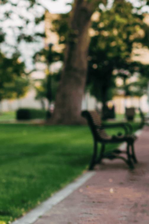 why-scholarship-bg-image